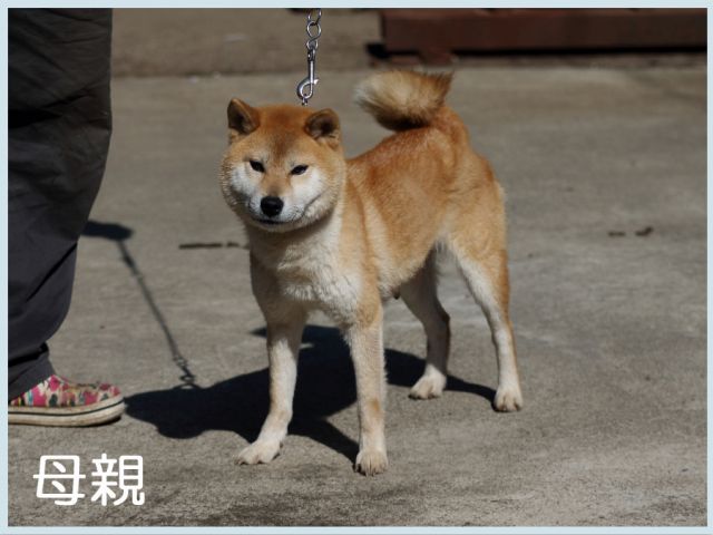 野州之瞳号