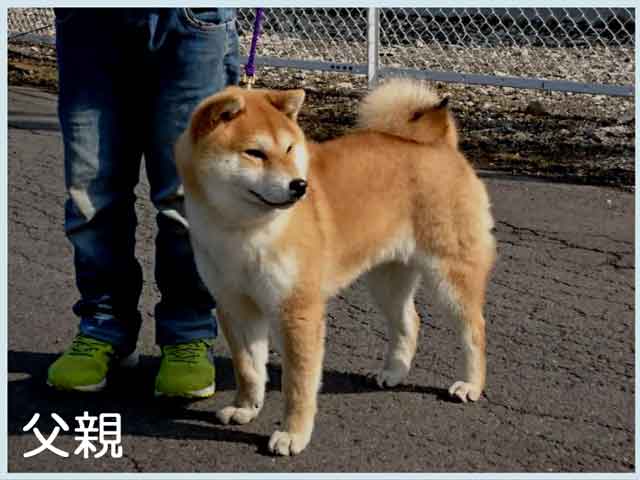 那須ノ北斗号